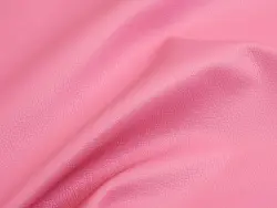 Maestro (rose)
